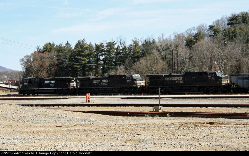 NS 7529, 9794, and 9161 lead train 784 eastbound